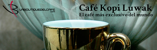 Café Kopi Luwak, el más exclusivo del mundo