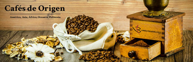 Descubre los cafés de origen. Un mundo de sabores sin salir de casa