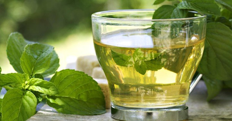 Conocemos las propiedades del té verde