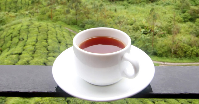De dónde proviene el té