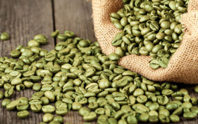 ¿Qué es el café verde y qué beneficios tiene?