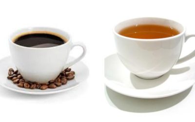 Diferencias entre la teína y la cafeína