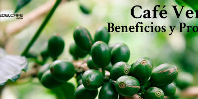 Beneficios y propiedades del café verde