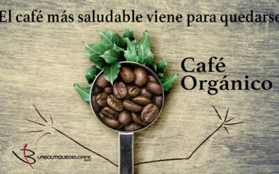 ¿Qué es el café orgánico? Mitos y realidades