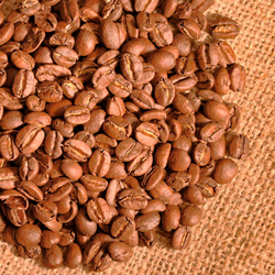 Sumatra La Boutique del Café - Café Sumatra Mandheling