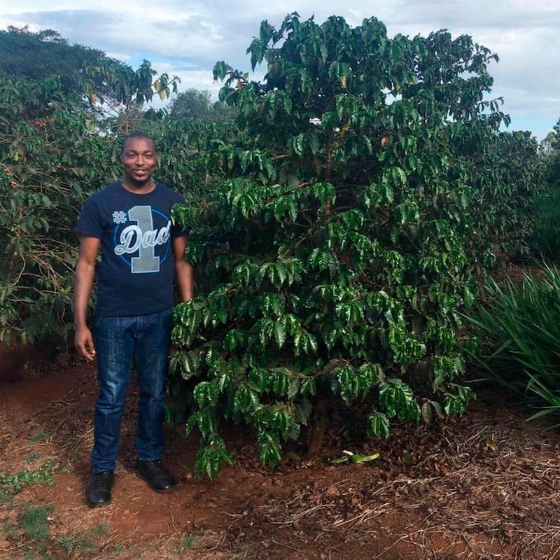 Kenia Kikaya Edwin Nyaega Kenia Kikaya Edwin Nyaega Con 86 puntos SCA, ofrece sabores complejos a frutos rojos y tropicales, melocotón, kiwi y melaza.